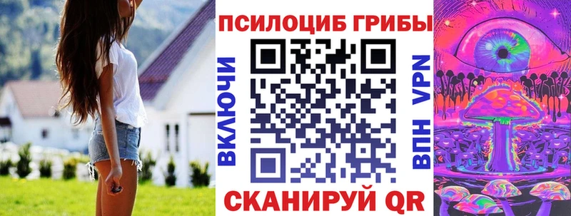 наркотики  Звенигород  Псилоцибиновые грибы ЛСД 